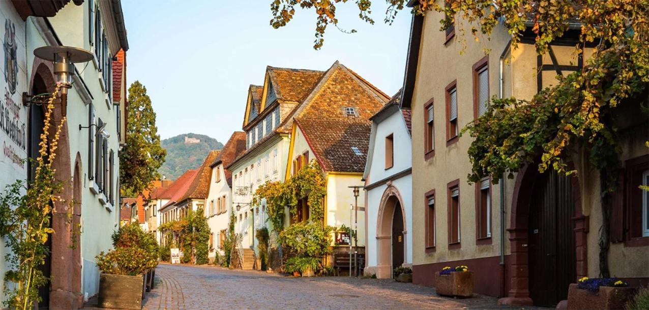 Hotel Rhodter Adler Rhodt unter Rietburg Dış mekan fotoğraf